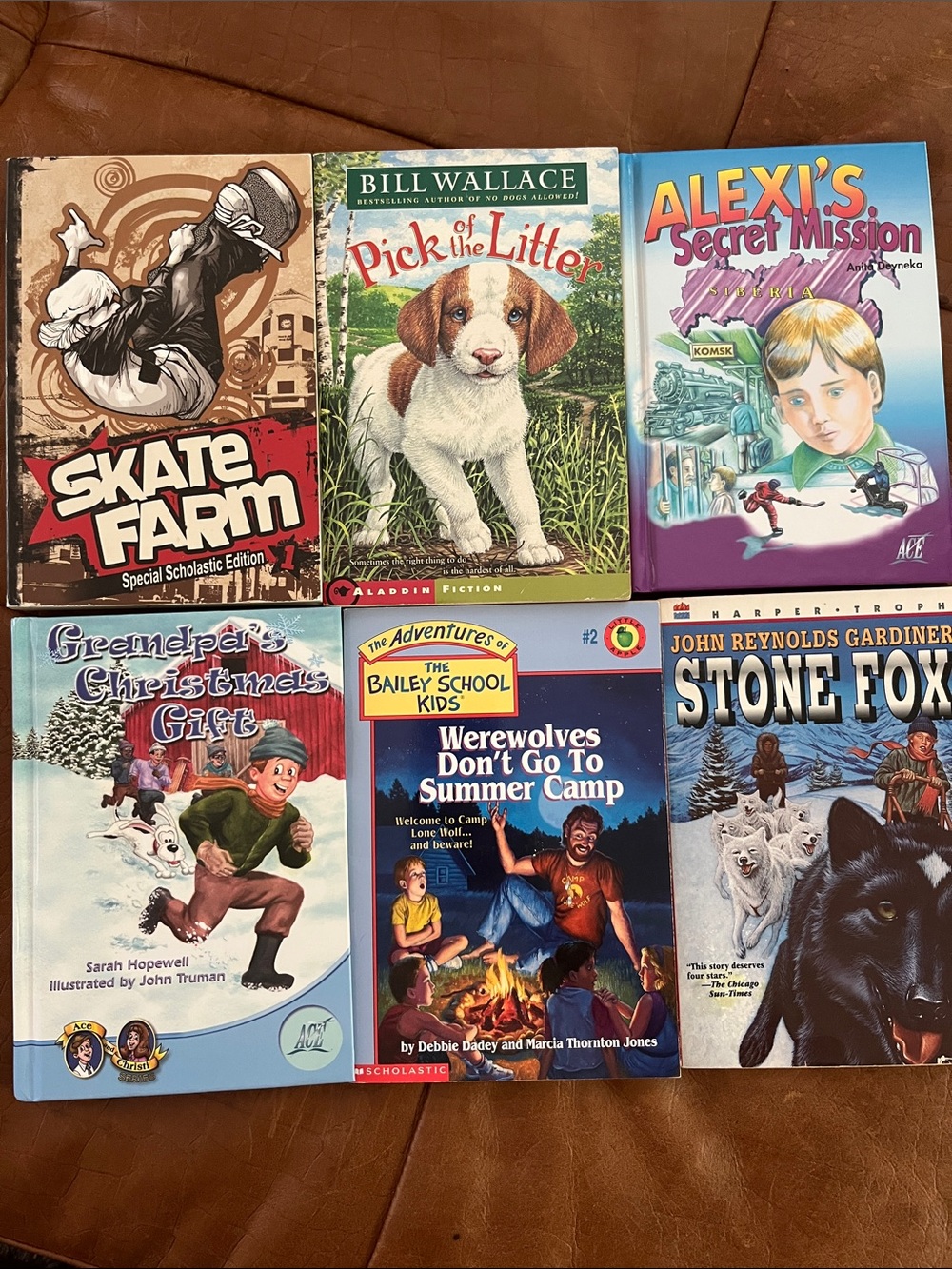 6 Chapter Books for Kids